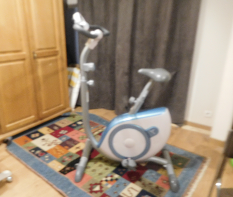 v�lo d'appartement de marque Domyos 80 Orl�ans (45)