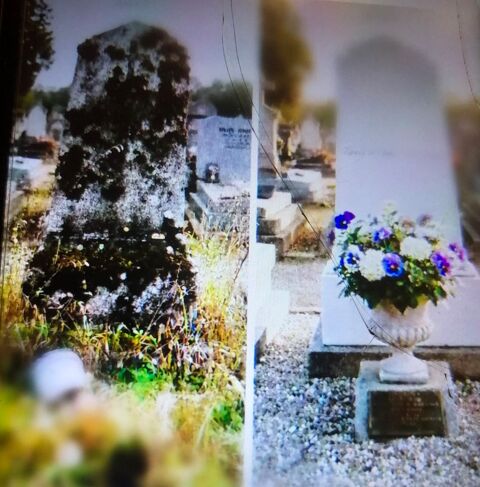 ENTRETIEN ET FLEURISSEMENT DE S&Eacute;PULTURES - PARIS 17eme 
0 75017 Paris