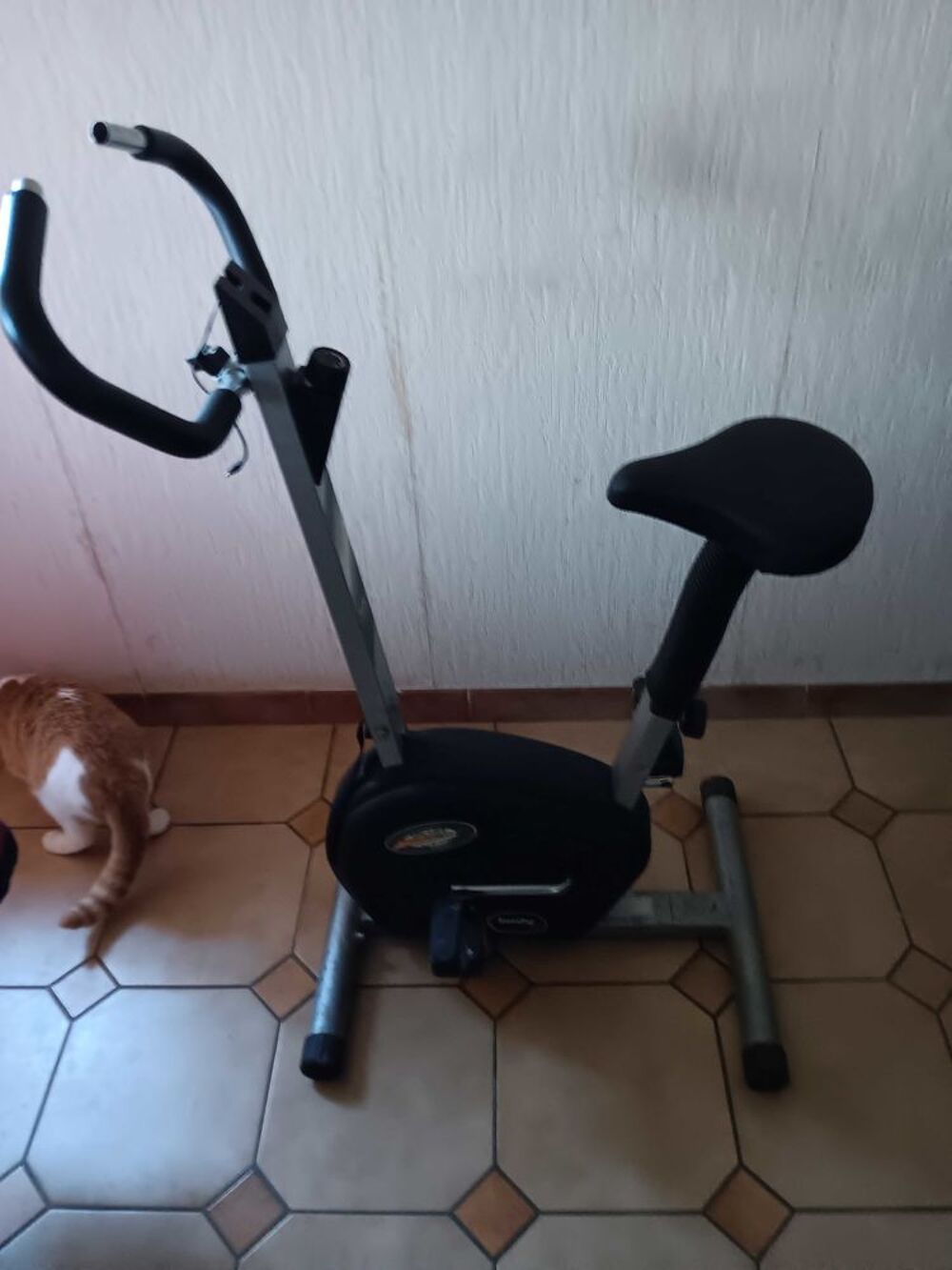 velo d appartement mixte. Vélos