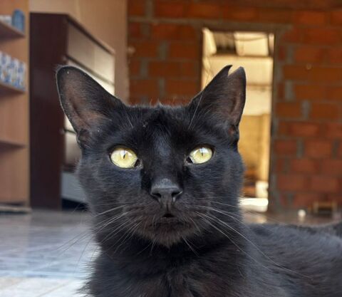 VINI 220 95610 ragny