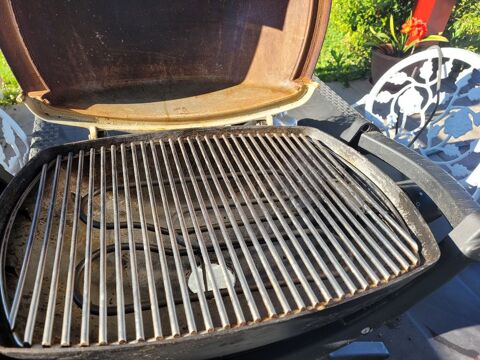 Barbecue Weber 100 Urcuit (64)