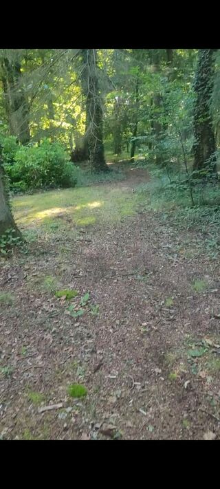  Terrain � vendre 6127 m� Lamorlaye