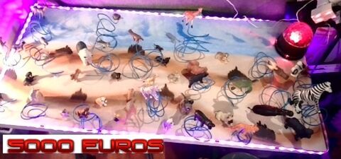 Echange Oeuvres d'art contre voiture 5000 Saint-Chamond (42)