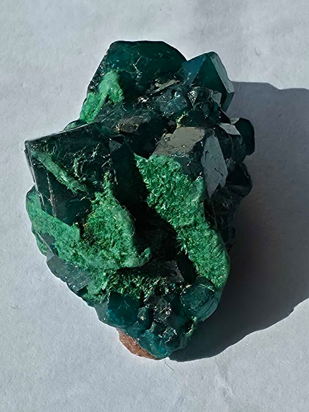 Rare Dioptase Verte sur Matrice-Katanga, RDC-8g 