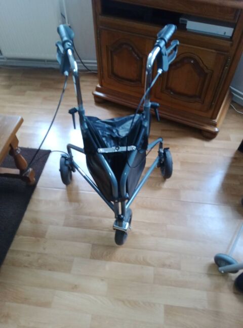 dambulateur 3 roues 50 Sedan (08)