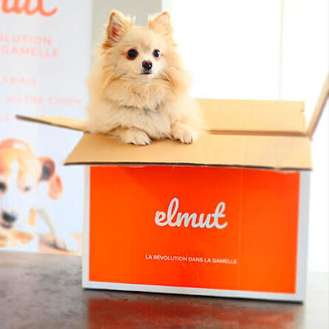 Repas frais pour chien ELMUT (Neufs & Congel&eacute;s) 100 54710 Ludres