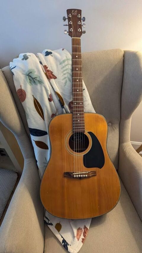 Guitare folk Ibanez 200 Lyon 6 (69)