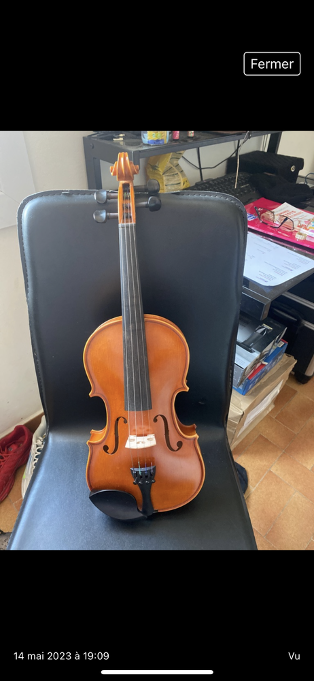 violon Instruments de musique