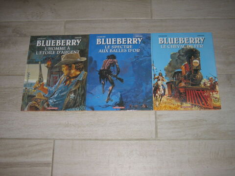 lot 3 bd BLUEBERRY 15 Czy (89)