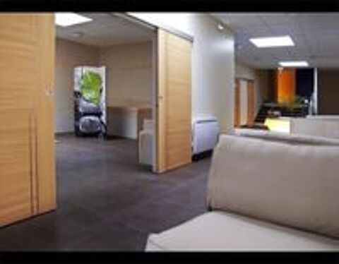  Local professionnel - 490m ² 