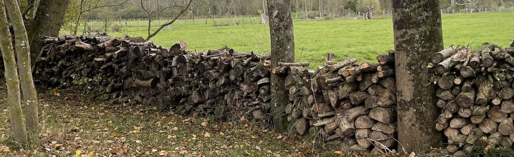 BOIS DE CHAUFFAGE Jardin