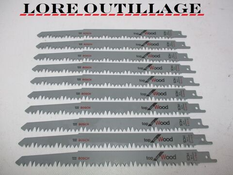 Bosch 10 lames bois 30 Cagnes-sur-Mer (06)