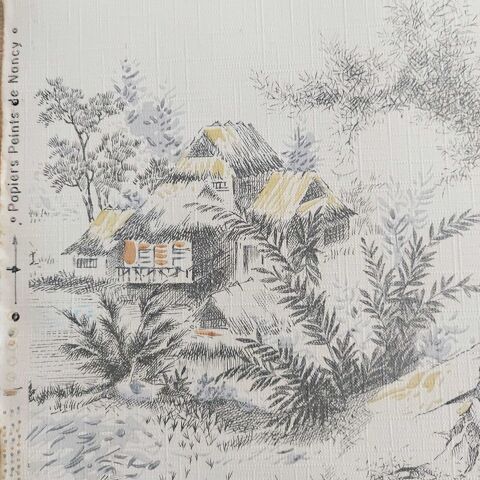 Papier Peint de Nancy asiatique vintage 40 Dombasle-sur-Meurthe (54)