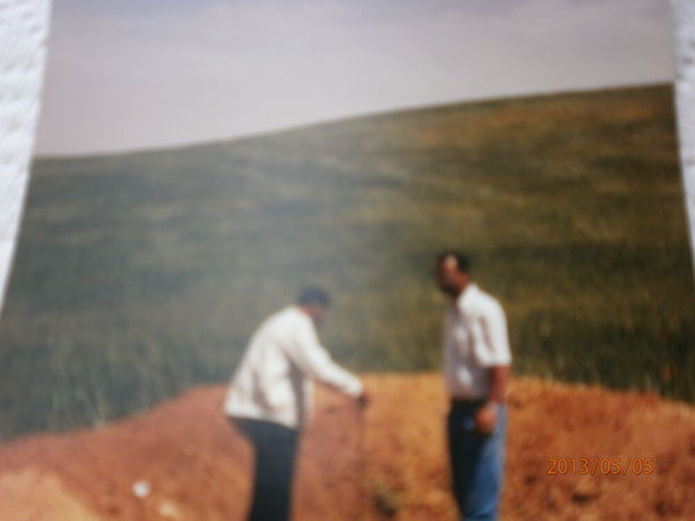 Vente Terrain terre agricole située au Maroc Boumia, maroc (Maroc)