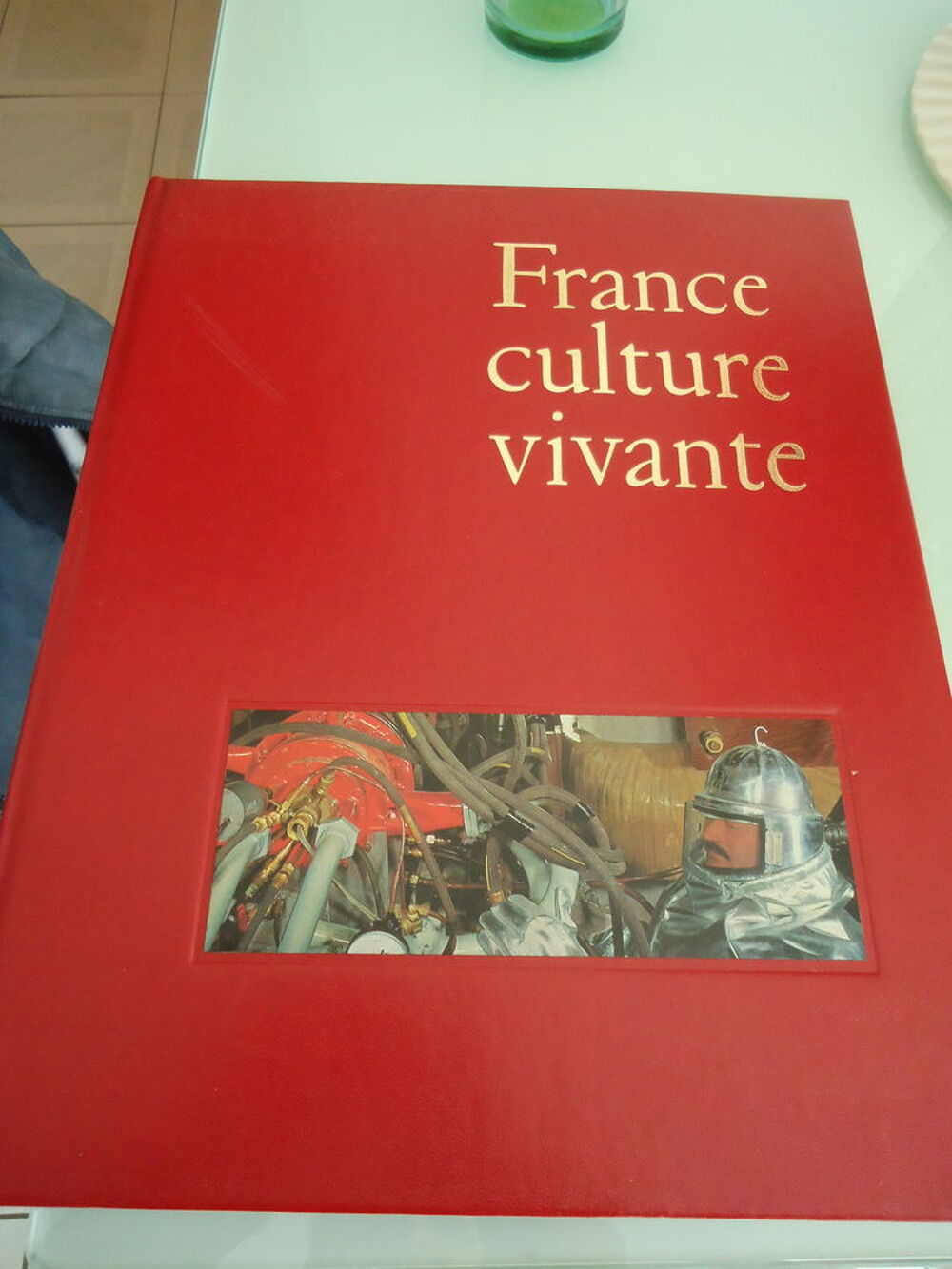 LIVRE FRANCE CULTURE VIVANTE 