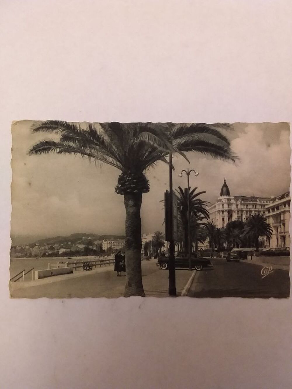 Carte postales semis moderne Departement 06 