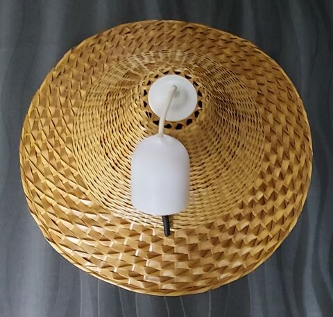 Lustre suspension 20 Bettrechies (59)