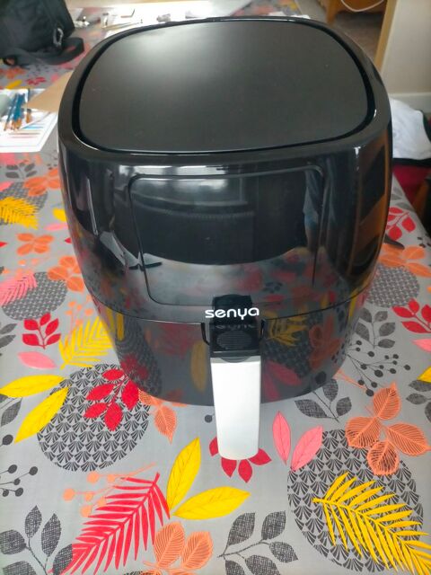 Friteuse air fryer  45 Albert (80)