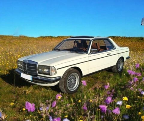 Mercedes 230 C 1977 occasion Artzenheim 68320