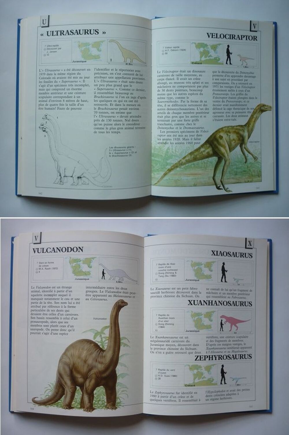 LES DINOSAURES DE A &agrave; Z Michael Benton (&Eacute;dit. ROUGE OR 1990) Livres et BD