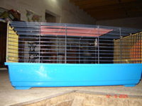  cage  