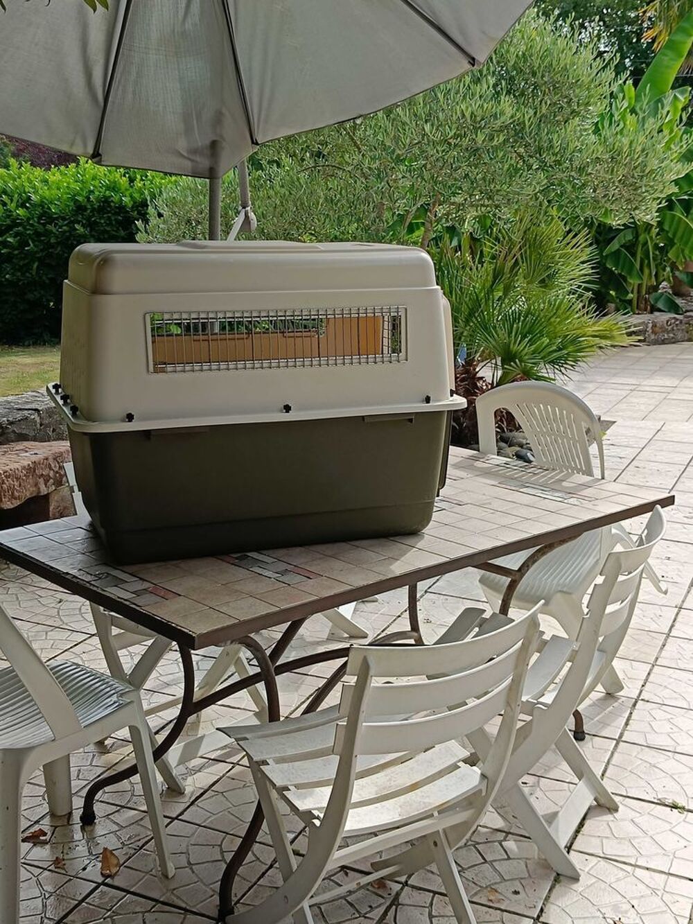   grande cage pour chien 