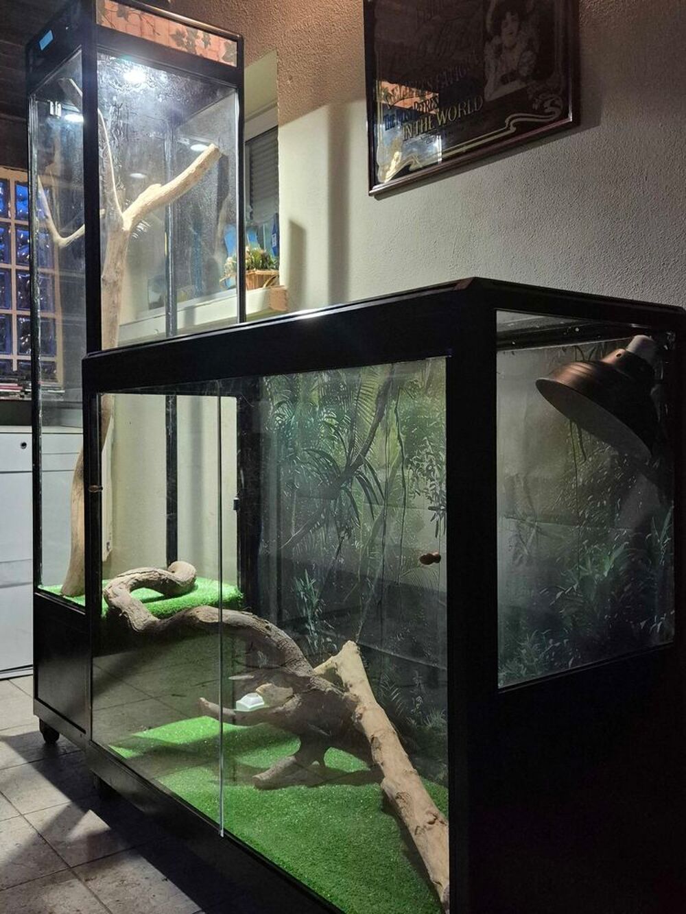 grand terrarium Meubles