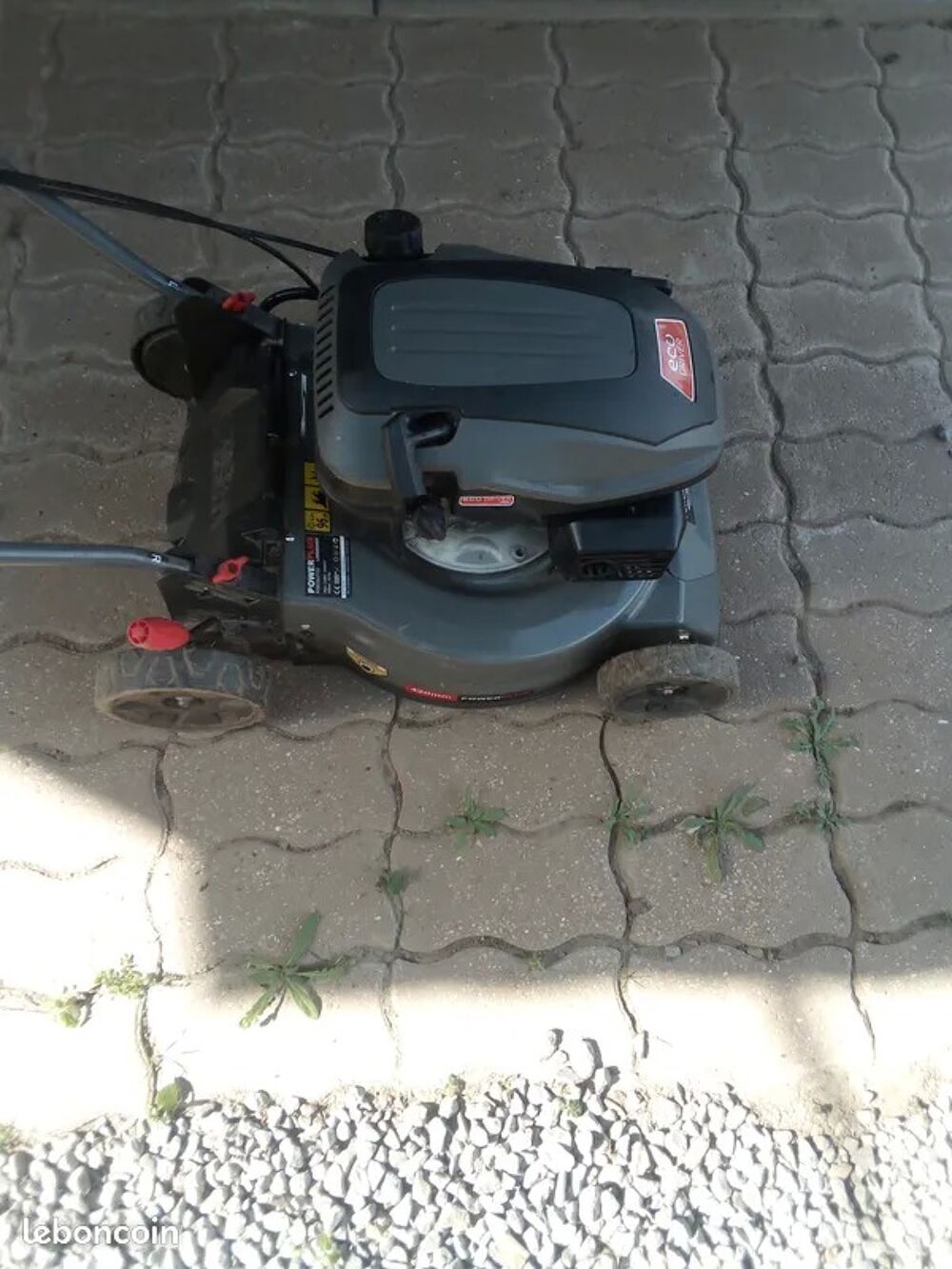 Tondeuse &agrave; gazon thermique pour pi&egrave;ces Bricolage