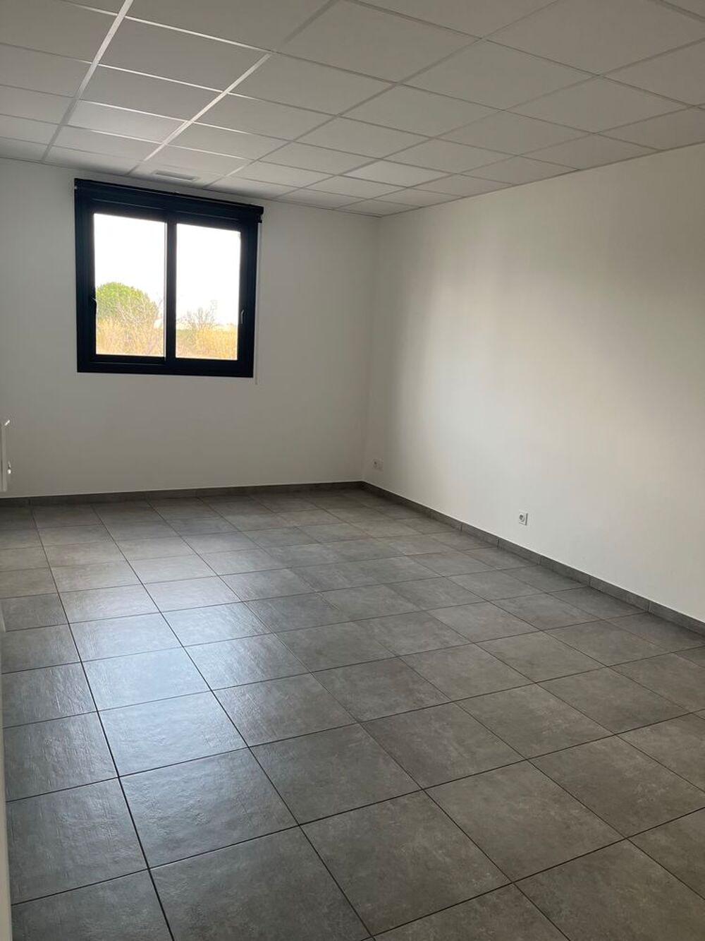 Location Autre Technosud II bureau Perpignan