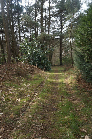  Terrain � vendre 7300 m�
