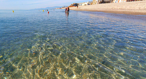   Appartement avec vue & garage possible ! Appartement - 2 pi�ce(s) - 27 m�