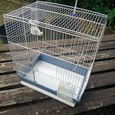  Cage  