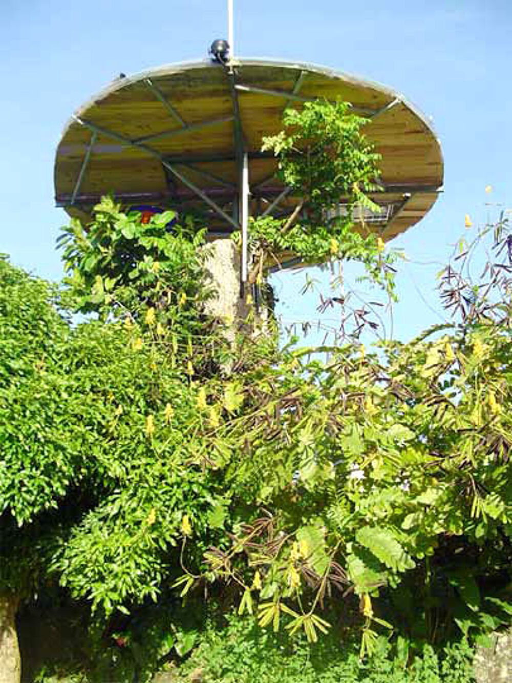 � vendre  Propri�t�/ch�teau Trois-Rivi�res (97114)