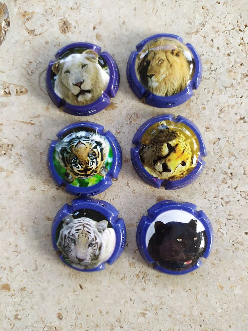 Capsules de Champagne 