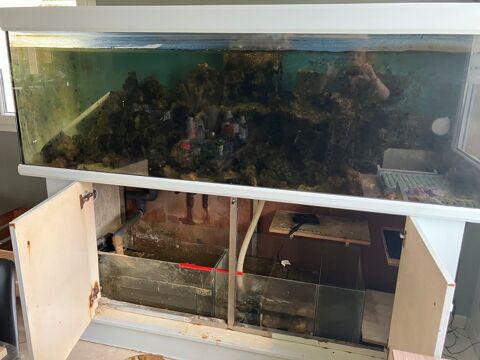 Aquarium 1000litres 850 62350 Saint-floris