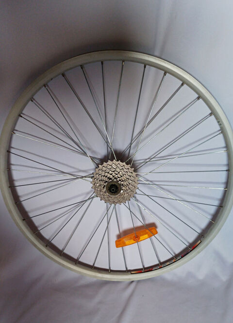 ROUE DE VELO Saint-Germain-Laprade (43)
