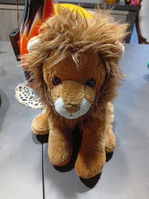 Lion  Born in Africa  8 Courdimanche-sur-Essonne (91)