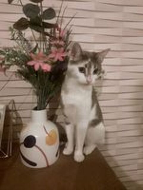   Silo Chatte - Leforest 62 