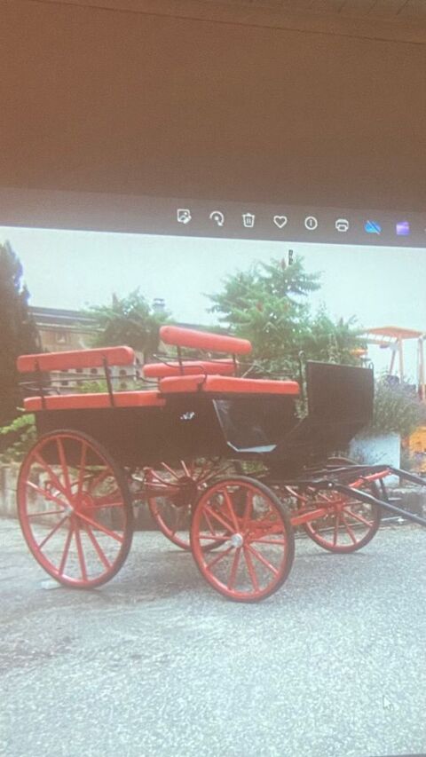 CHARRETTE CHEVAL 3800 Culoz (01)