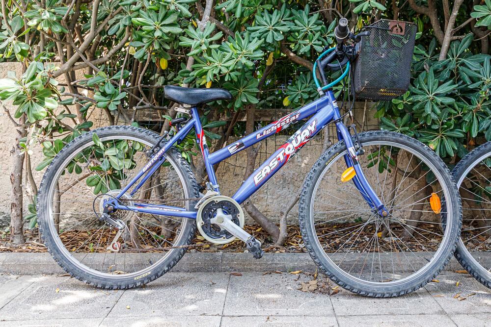 V&eacute;lo VTT Dame Vélos