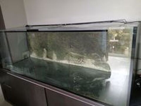   Pour cause de dmnagement nous vendons notre aquarium 600l  