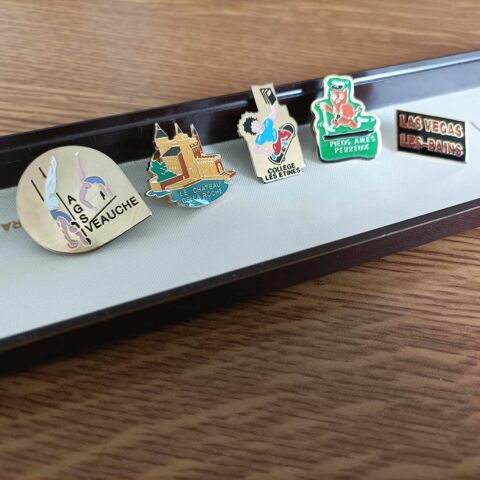 Lot de Pins ( 42 ) Loire 10 Troyes (10)