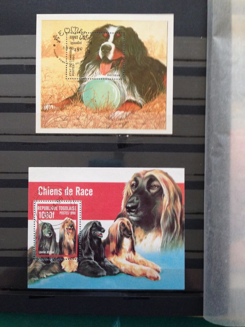 timbres chiens 