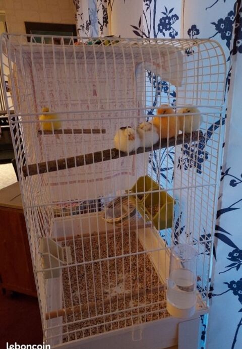 grande cage pour oiseaux avec son meuble sur pieds 80 Paris 13 (75)