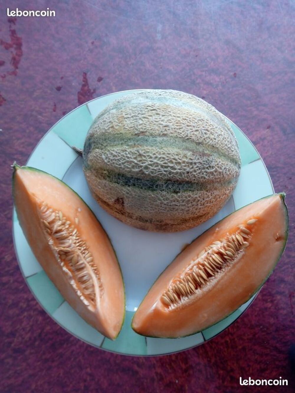 Graines de courgettes + potiron + melon + poivron + past&egrave;que Jardin