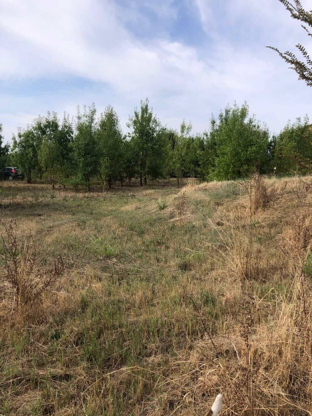 Vente Terrain Terrain plat constructible de 1 438 m² ? Proche Vézénobres Ners