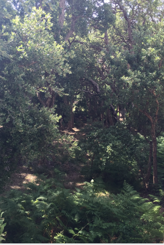  Terrain � vendre 1023 m� Binche