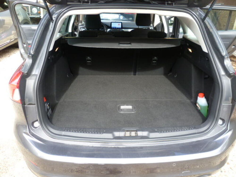 Focus SW 1.5 EcoBlue 120 S&S BVA8 Titanium 2020 occasion 30210 Castillon-du-Gard
