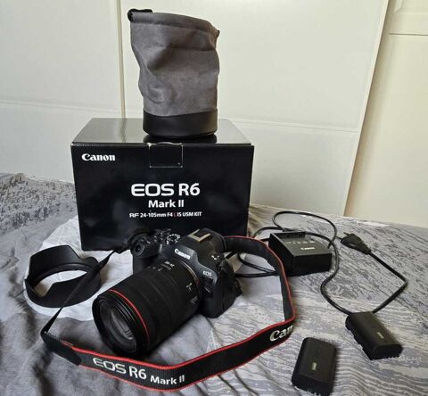 Canon EOS R6 Mark II + Objectif RF 24-105mm f/4 L IS USM + 2 piles 1600 Pontis (05)