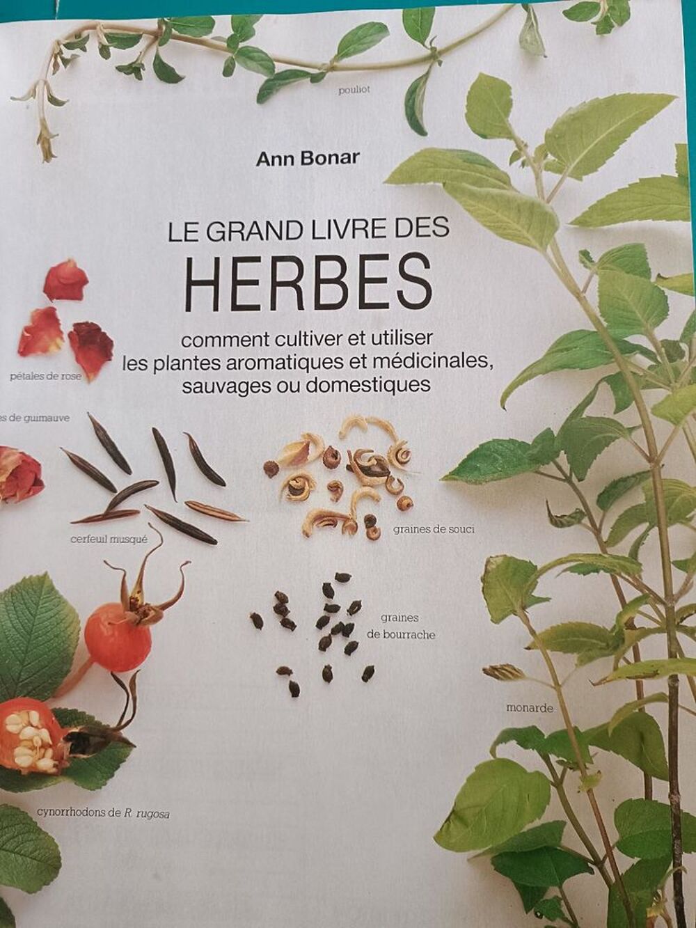 Ann BONAR : le grand livre des herbes Livres et BD